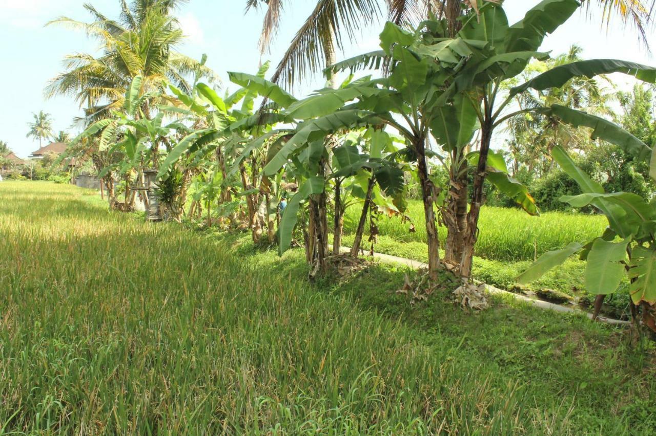 Ubud River Campuhan Villa Extérieur photo